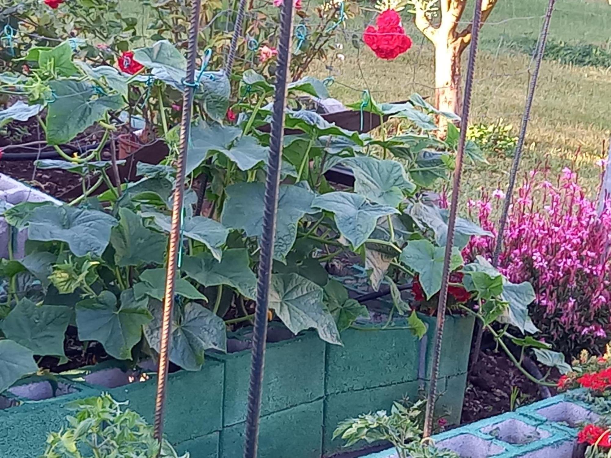 Tammy'S Garden House Βίλα Λεπτοκαρυά Εξωτερικό φωτογραφία