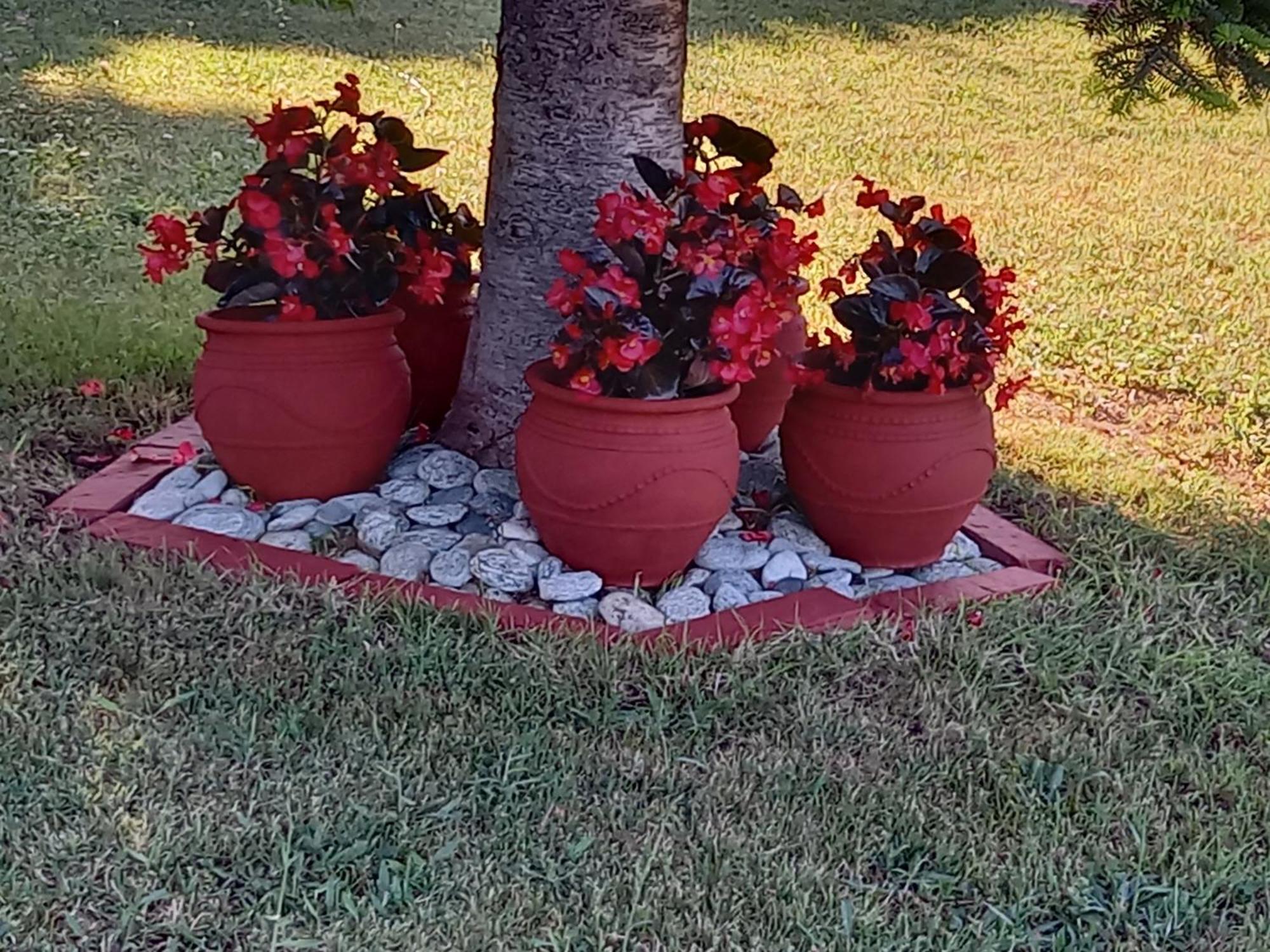 Tammy'S Garden House Βίλα Λεπτοκαρυά Εξωτερικό φωτογραφία