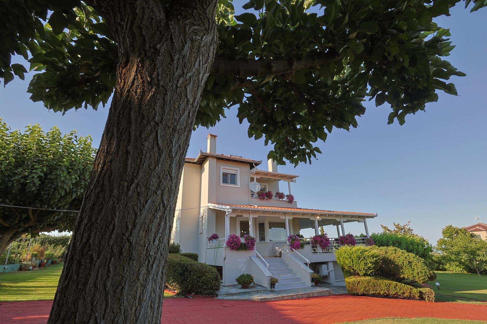 Tammy'S Garden House Βίλα Λεπτοκαρυά Εξωτερικό φωτογραφία