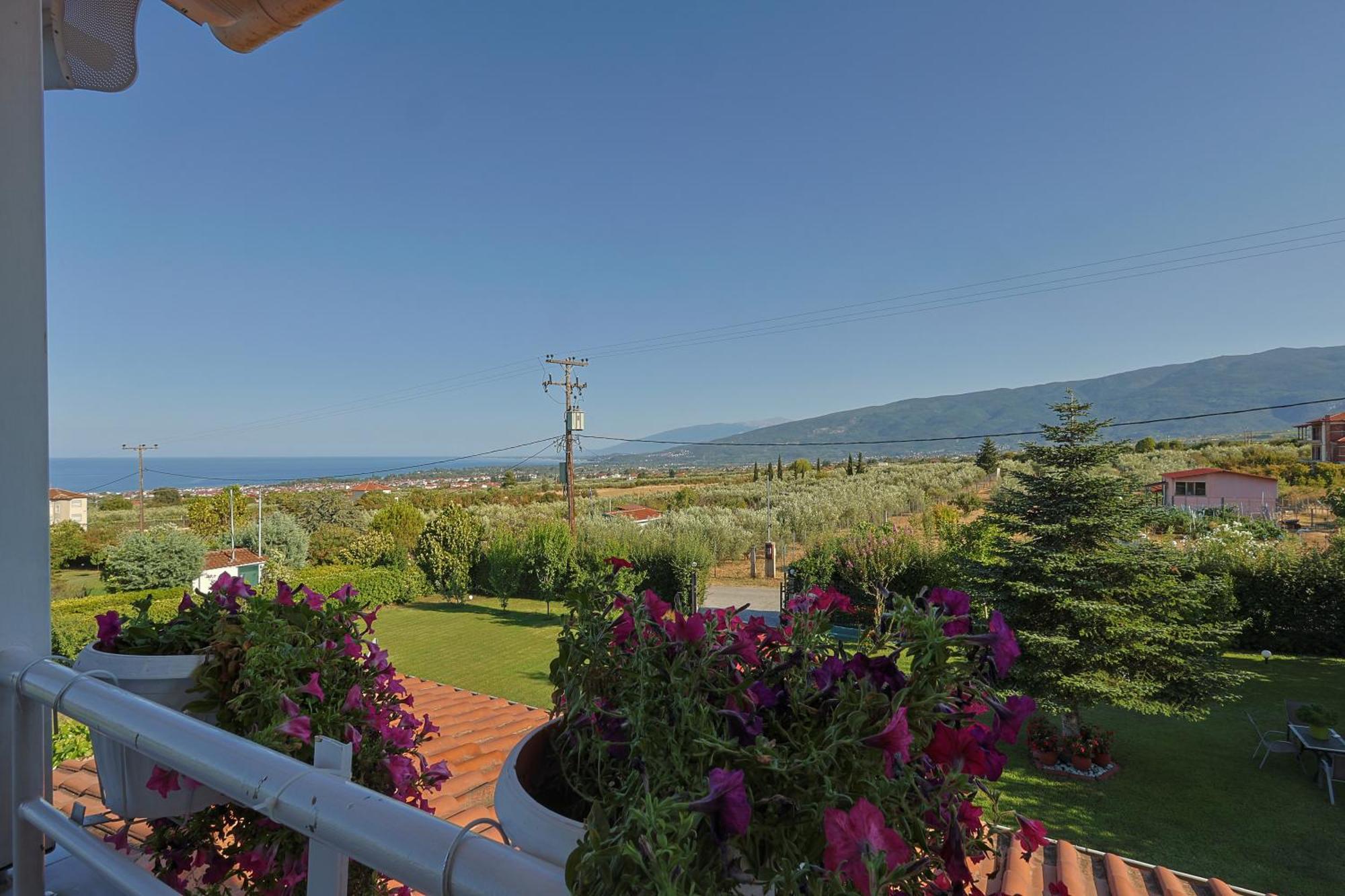 Tammy'S Garden House Βίλα Λεπτοκαρυά Εξωτερικό φωτογραφία