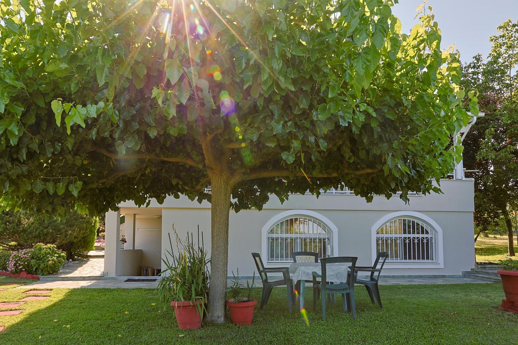 Tammy'S Garden House Βίλα Λεπτοκαρυά Εξωτερικό φωτογραφία