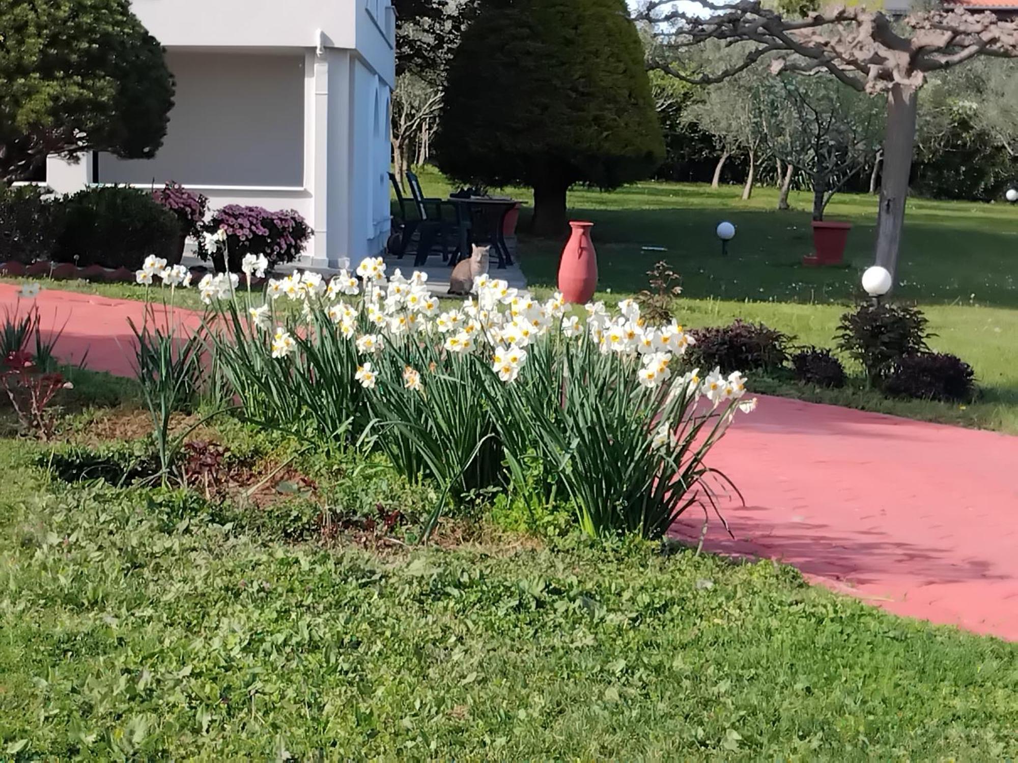 Tammy'S Garden House Βίλα Λεπτοκαρυά Εξωτερικό φωτογραφία