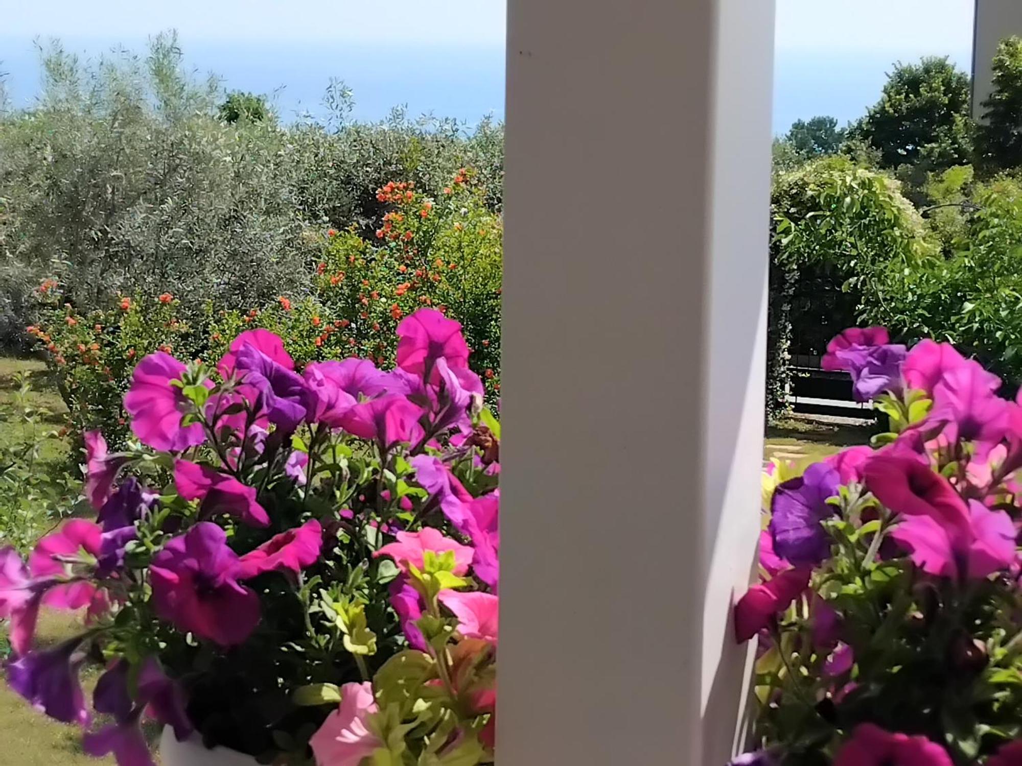 Tammy'S Garden House Βίλα Λεπτοκαρυά Εξωτερικό φωτογραφία