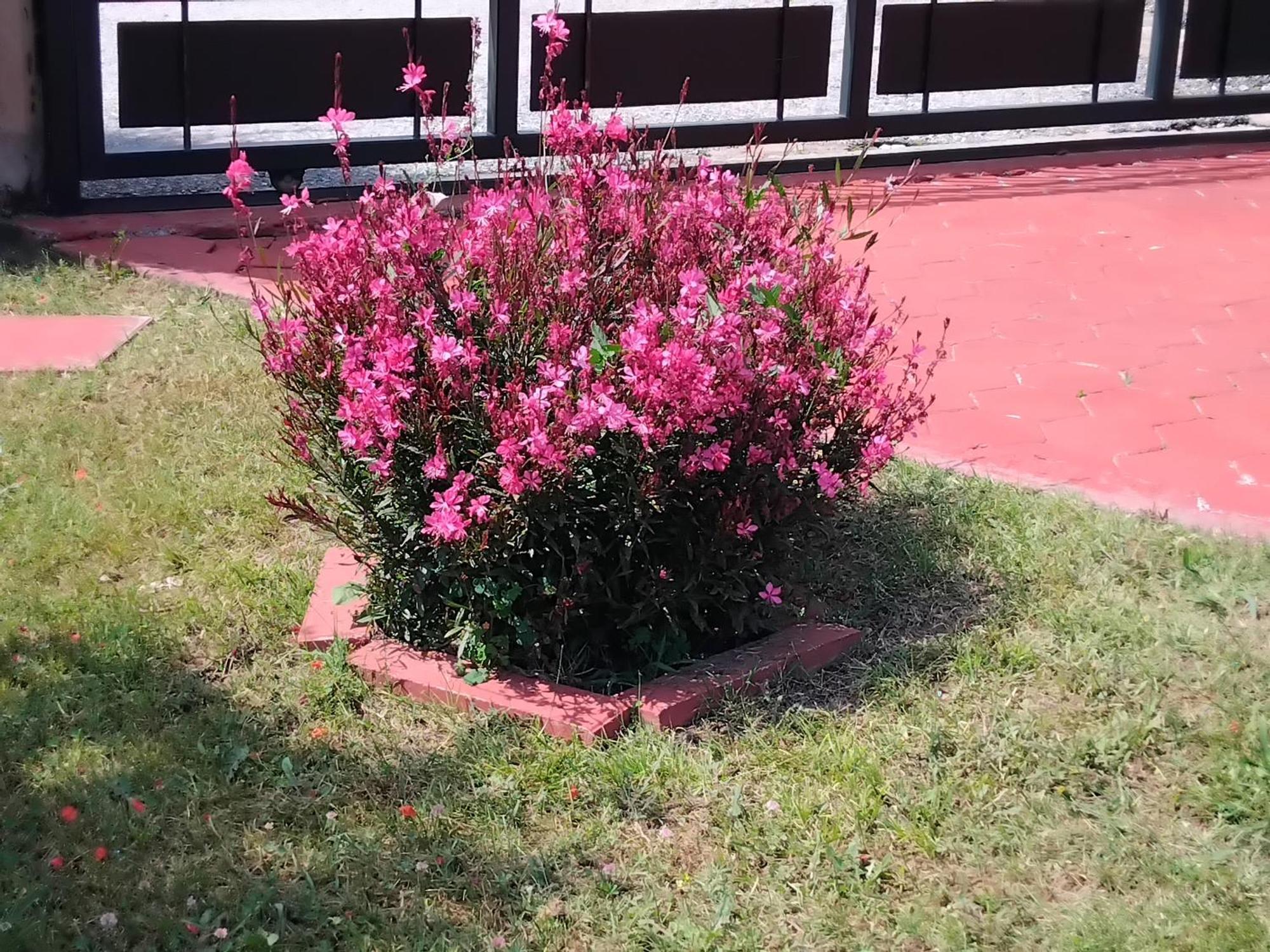 Tammy'S Garden House Βίλα Λεπτοκαρυά Εξωτερικό φωτογραφία