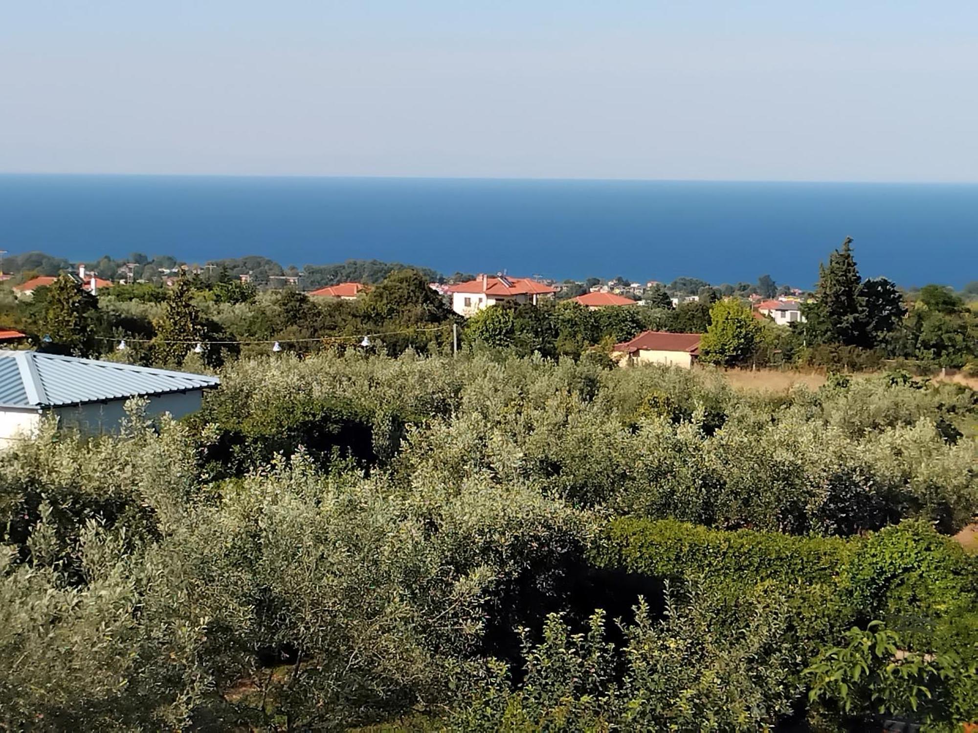 Tammy'S Garden House Βίλα Λεπτοκαρυά Εξωτερικό φωτογραφία