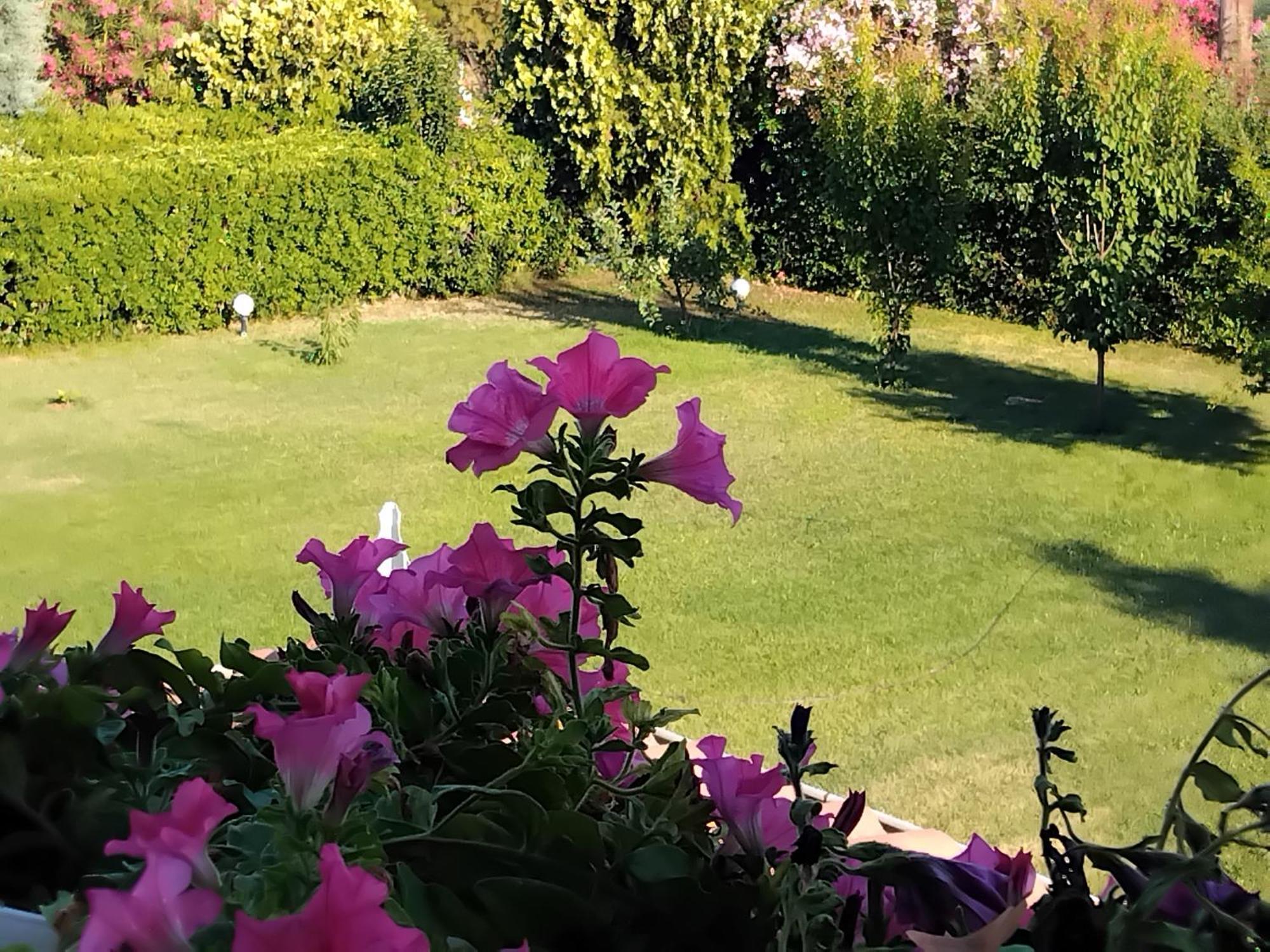 Tammy'S Garden House Βίλα Λεπτοκαρυά Εξωτερικό φωτογραφία