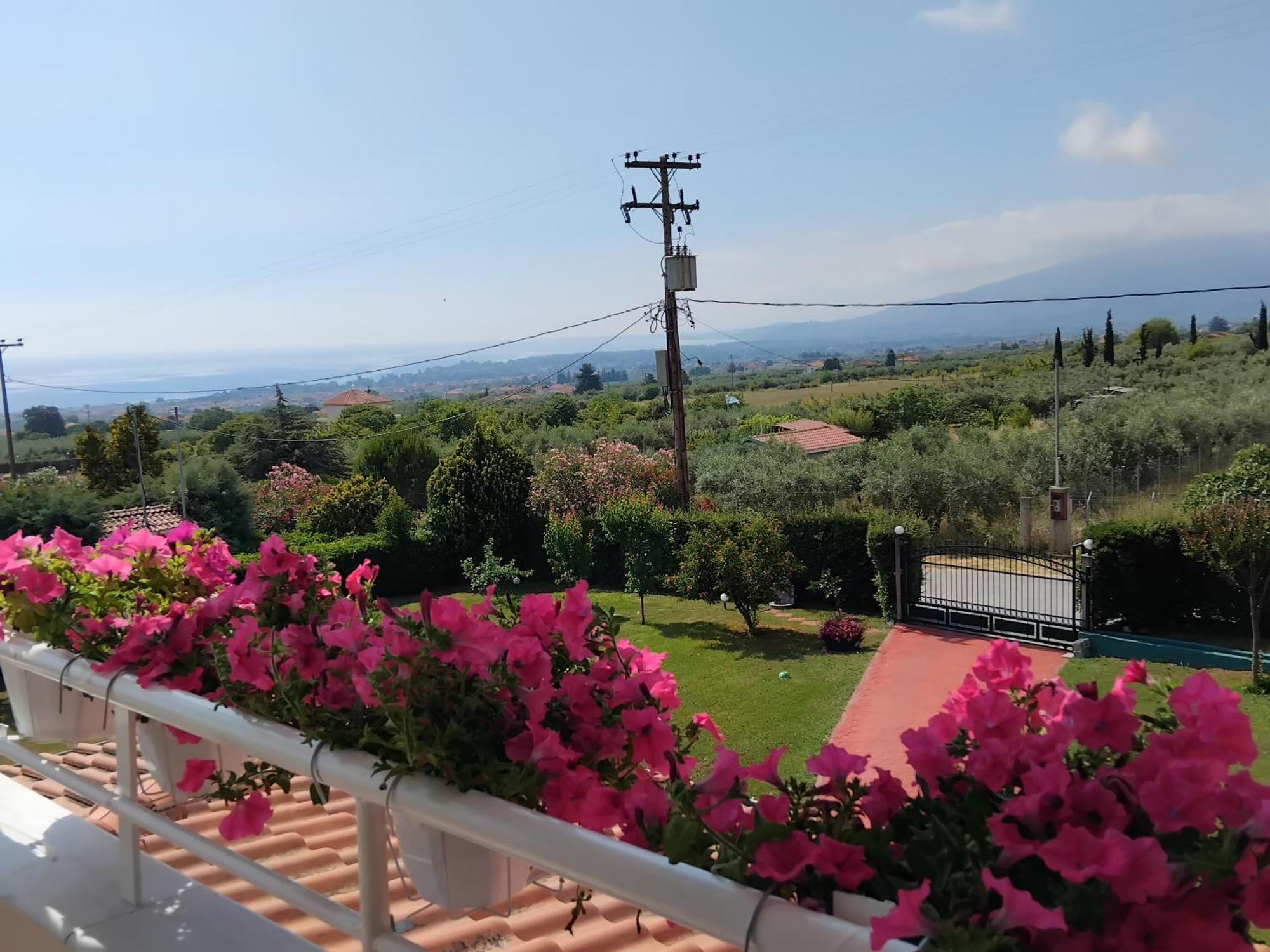 Tammy'S Garden House Βίλα Λεπτοκαρυά Εξωτερικό φωτογραφία