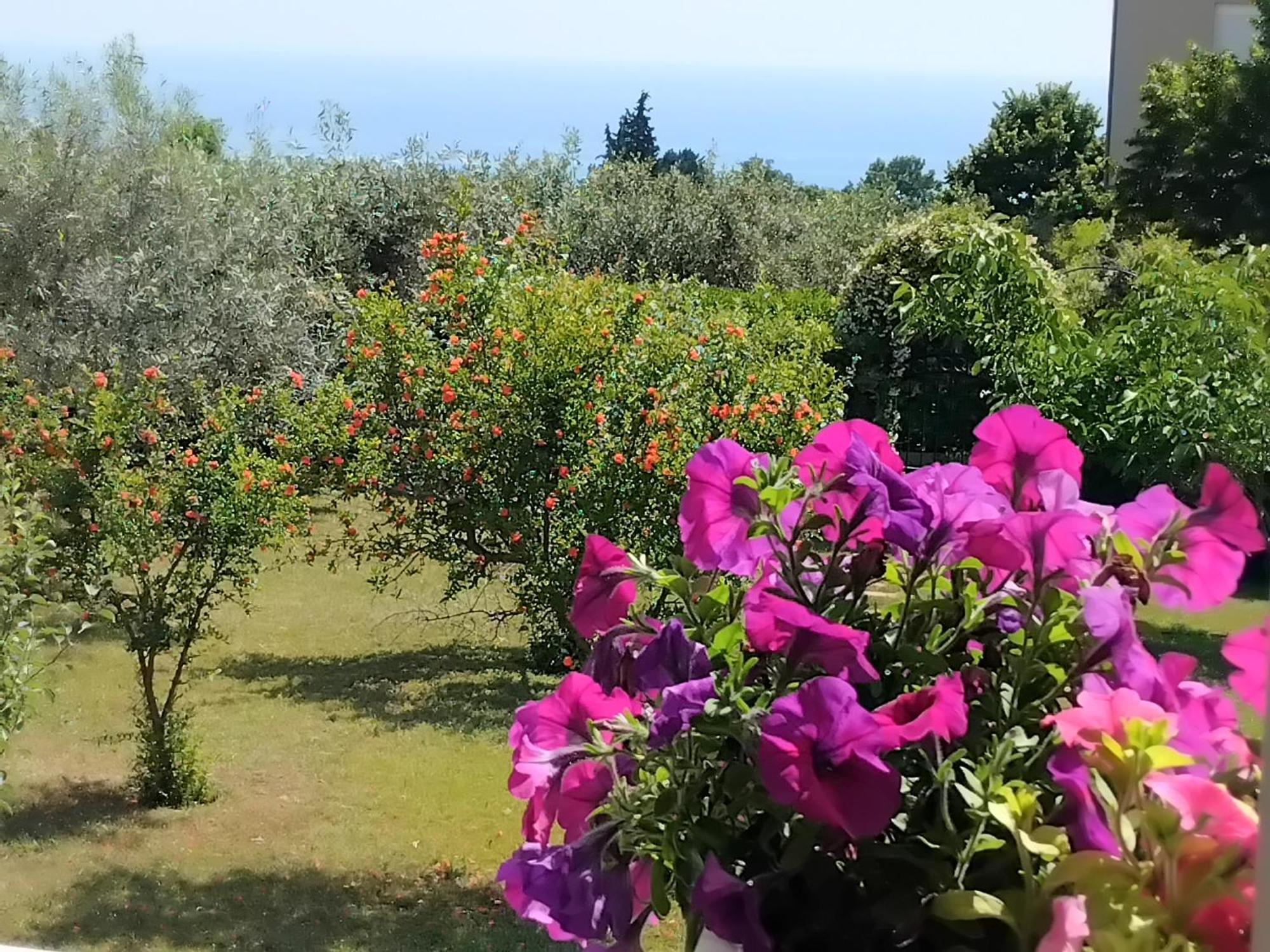 Tammy'S Garden House Βίλα Λεπτοκαρυά Εξωτερικό φωτογραφία