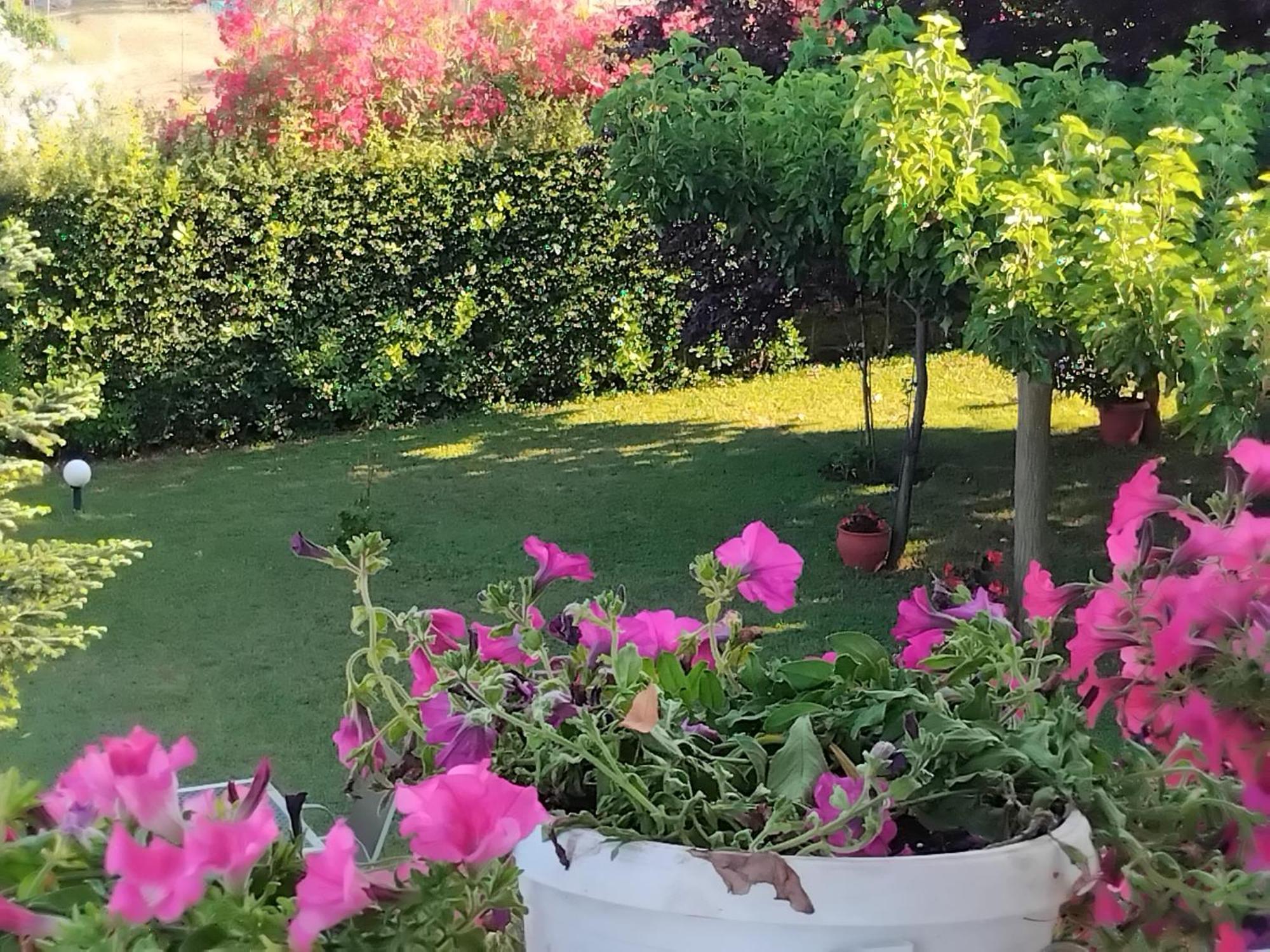 Tammy'S Garden House Βίλα Λεπτοκαρυά Εξωτερικό φωτογραφία