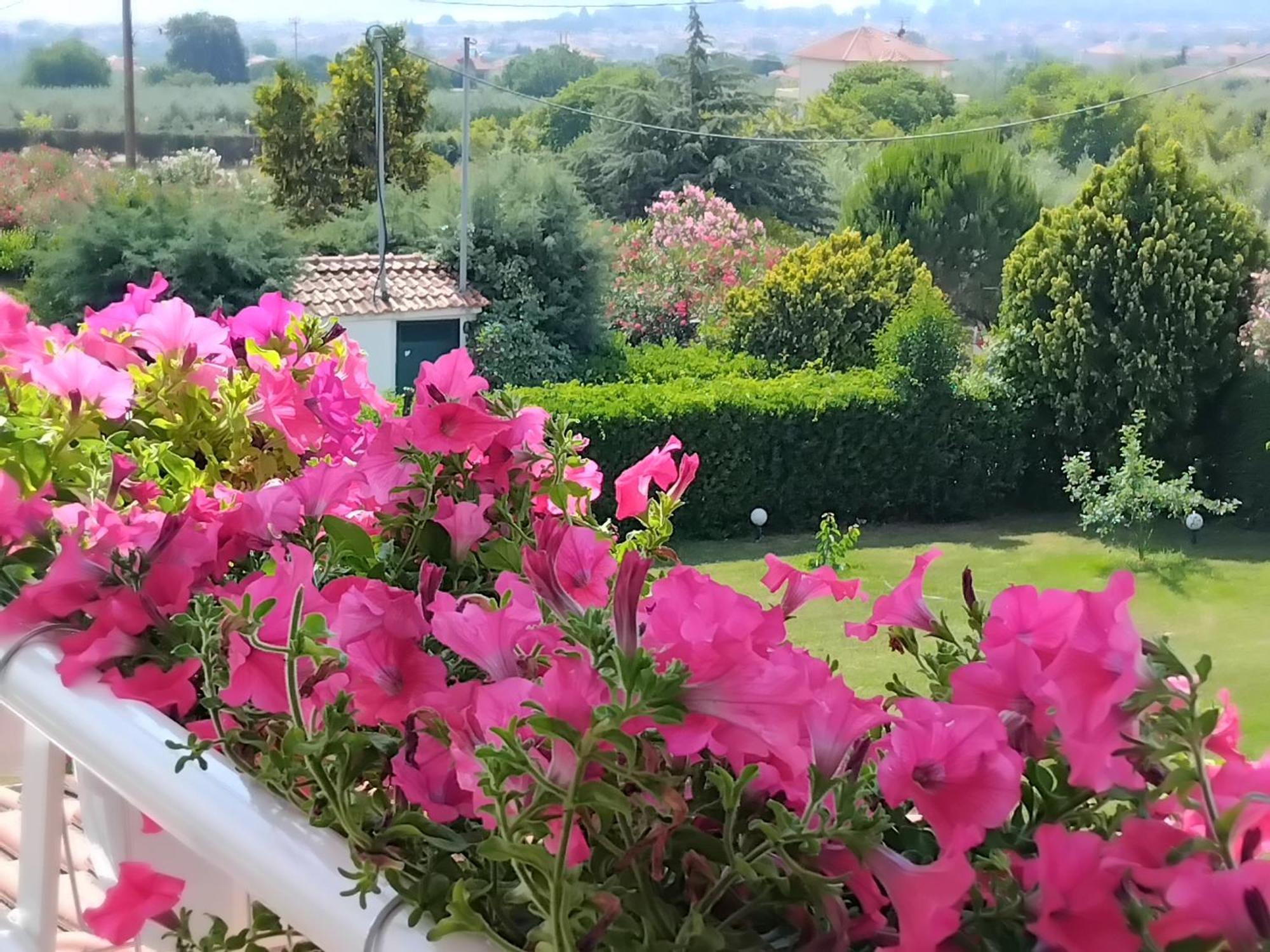 Tammy'S Garden House Βίλα Λεπτοκαρυά Εξωτερικό φωτογραφία