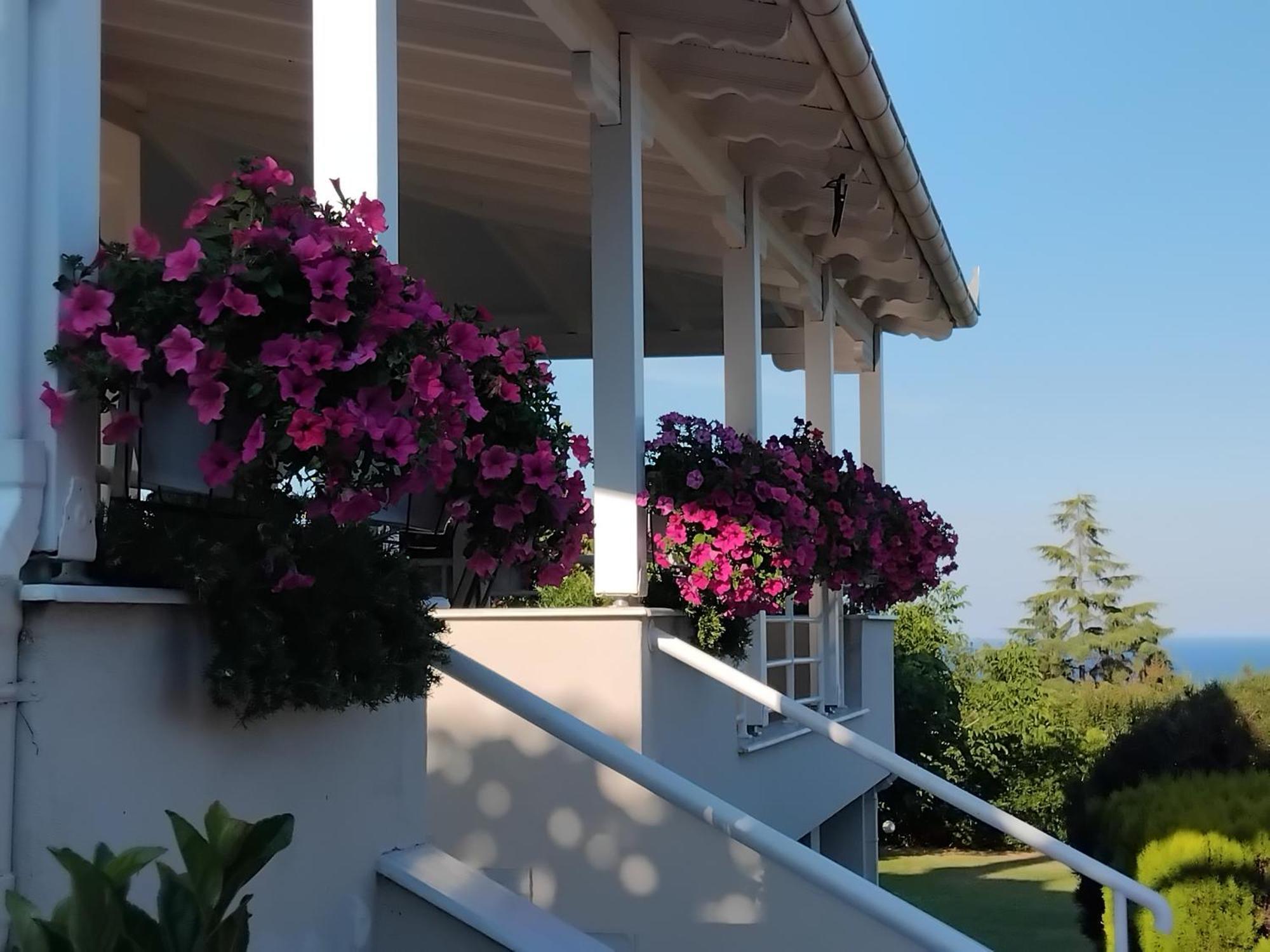 Tammy'S Garden House Βίλα Λεπτοκαρυά Εξωτερικό φωτογραφία