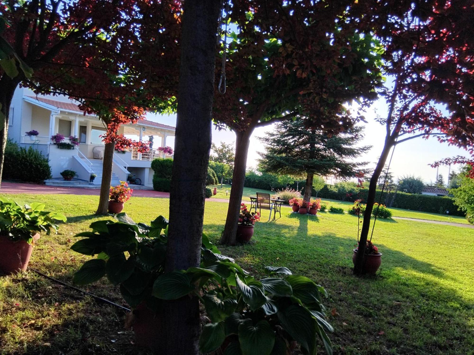 Tammy'S Garden House Βίλα Λεπτοκαρυά Εξωτερικό φωτογραφία